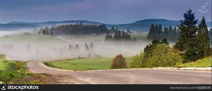 Free winding mountain road panorama. Mountain serpentine between green Christmas trees. Beautiful misty morning traveling background.