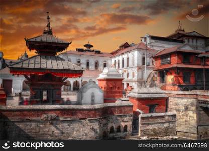 Freely walk monkey. Votive temples and shrines in a row at Pashupatinath Temple, Kathmandu, Nepal.