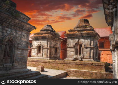 Freely walk monkey. Votive temples and shrines in a row at Pashupatinath Temple, Kathmandu, Nepal.