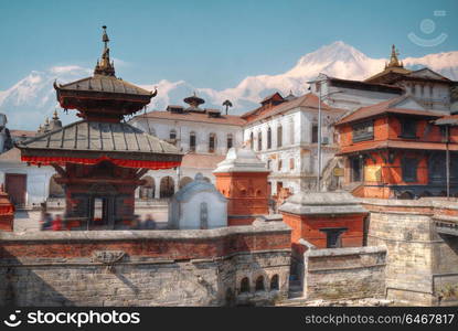 Freely walk monkey. Votive temples and shrines in a row at Pashupatinath Temple, Kathmandu, Nepal.