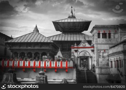 Freely walk monkey. Votive temples and shrines in a row at Pashupatinath Temple, Kathmandu, Nepal. black and white photography. Pashupatinath Temple