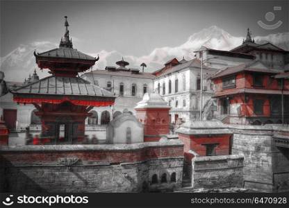 Freely walk monkey. Votive temples and shrines in a row at Pashupatinath Temple, Kathmandu, Nepal. black and white photography. Pashupatinath Temple