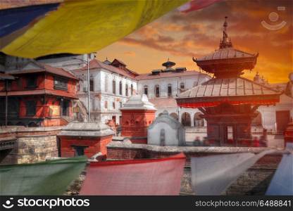 Freely walk monkey. Votive temples and shrines in a row at Pashupatinath Temple, Kathmandu, Nepal.. Pashupatinath Temple