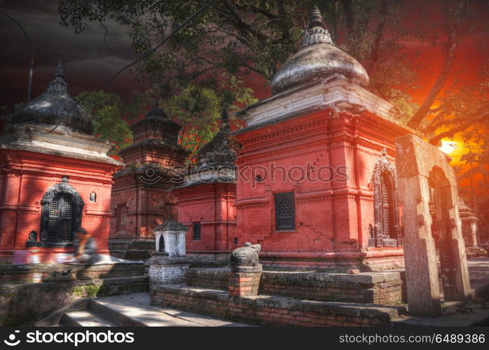 Freely walk monkey. Votive temples and shrines in a row at Pashupatinath Temple, Kathmandu, Nepal.. Pashupatinath Temple