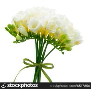 Freeseia fresh flowers. White freeseia fresh flowers bouquet isolated on white background