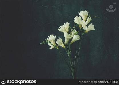 Freesia blooming twigs bouquet vintage toned on dark background.