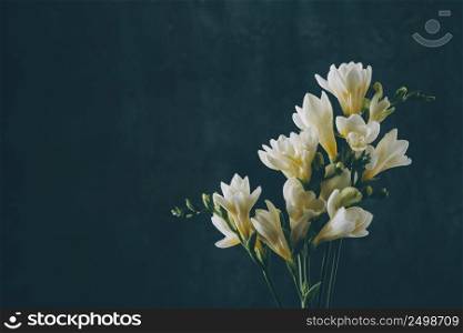 Freesia blooming twigs bouquet vintage toned on dark blue art background with copy space.