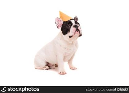 French Bulldog puppy wearing a festive hat, isolated over a white background