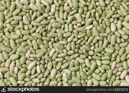 French flageolets beans full frame