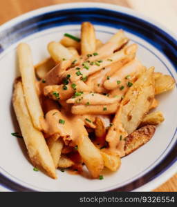 French fries with American style cheddar cheese