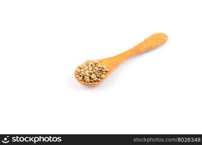 French green lentils (lentilles du Puy) in a wooden spoon on a white background