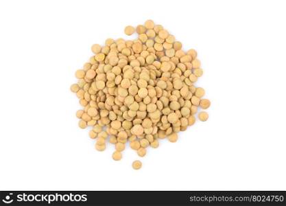 French green lentils (lentilles du Puy) on a white background