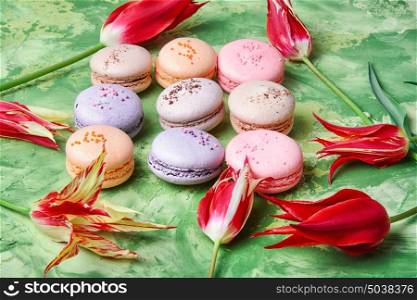 French macaroons with red tulips on a green background. Colorful macaroons and flowers