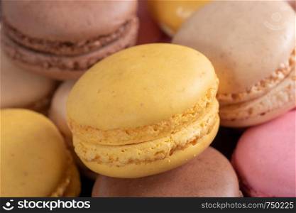 french multicolored macaroons a close up