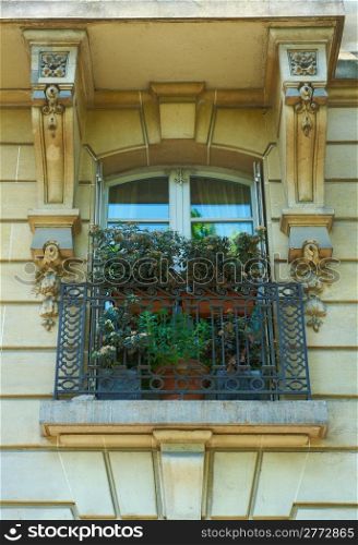 French Window Reflecting the Blue Sky and Trees, Paris