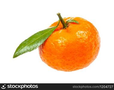 fresh Abkhazian mandarine with green leaf isolated on white background. fresh Abkhazian mandarine with green leaf isolated