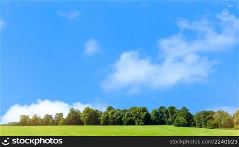 Fresh air and beautiful natural landscape of meadow with green tree in the sunny day for summer background,Beauty landscape of grass field with forest trees and environment public park with sun rays