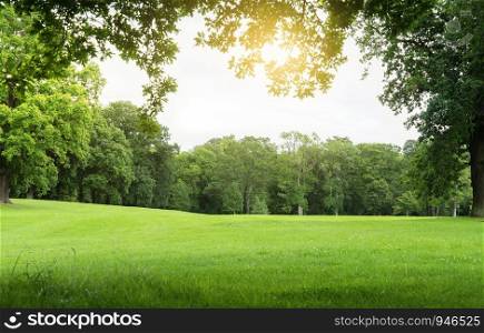 Fresh air and beautiful natural landscape of meadow with green tree in the sunny day for summer background, Beautiful landscape of grass field with forest trees and environment public park with sun ray