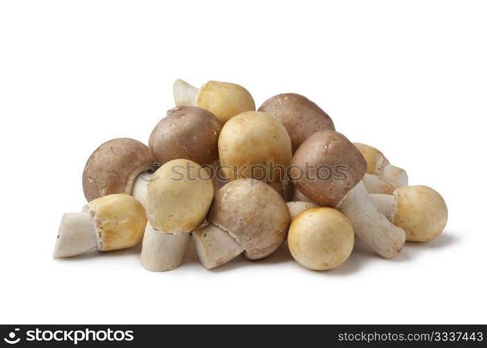 Fresh Almond and Horse Mushrooms on white background