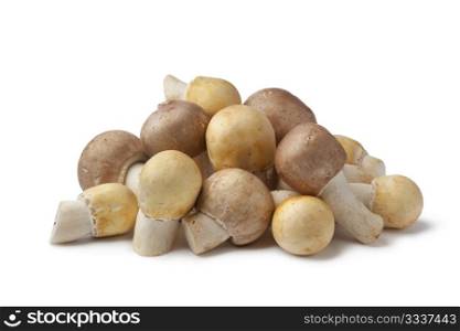 Fresh Almond and Horse Mushrooms on white background