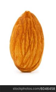 Fresh almond isolated on the white background