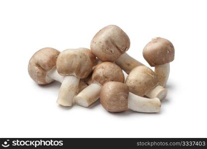 Fresh Almond mushrooms on white background