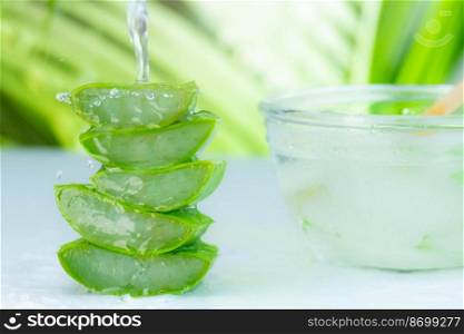 Fresh aloe vera juice in a glass bowl and sliced natural organic aloe vera on nature background. medicine and beauty concept.