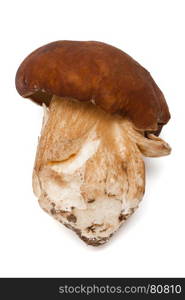 Fresh and beautiful mushroom on a white background