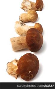 Fresh and beautiful mushrooms on a white background