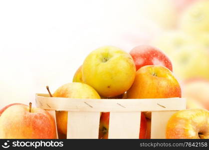 Fresh and colorful apples, selective focus