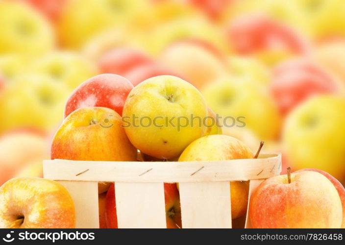 Fresh and colorful apples, selective focus