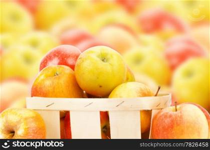 Fresh and colorful apples, selective focus