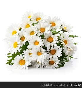 Fresh and delicate daisy bouquet with vibrant colors, isolated on white. Aesthetic and elegant floral composition by generative AI