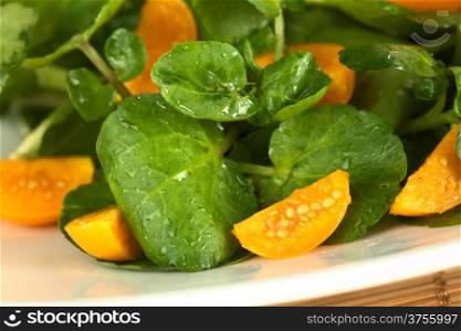 Fresh and healthy watercress (lat. Nasturtium officinale) and physalis (lat. Physalis peruviana) salad (Selective Focus, Focus on the physalis piece in the front and parts of the big leaf on the left). Watercress and Physalis Salad