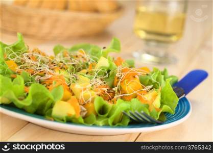 Fresh and light vegetarian salad amde of mango, avocado, grated carrots and lettuce, sprinkled with alfalfa sprouts and roasted sunflower seeds (Selective Focus, Focus one third into the salad)