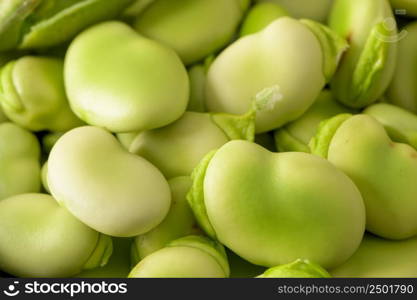 Fresh and raw green broad beans. Closeup.