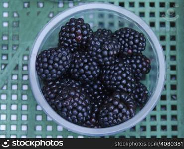 Fresh and ripe blackberry with package for retail