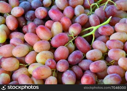 Fresh and ripe grapes are sold at the Bazaar