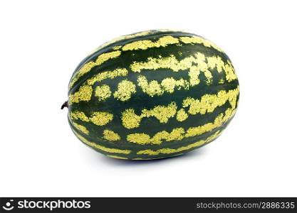 Fresh and ripe water melon