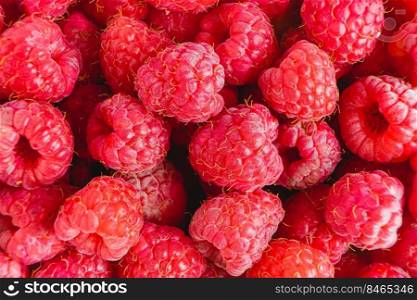 Fresh and sweet red raspberries close up texture background. Fresh and sweet raspberries background
