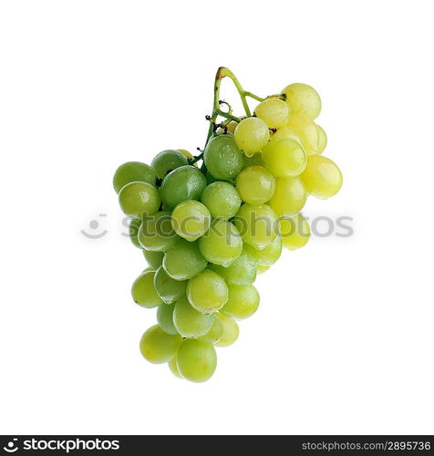 fresh and tasty green grapes isolated