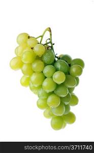 fresh and tasty green grapes isolated