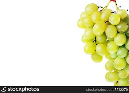 fresh and tasty green grapes isolated