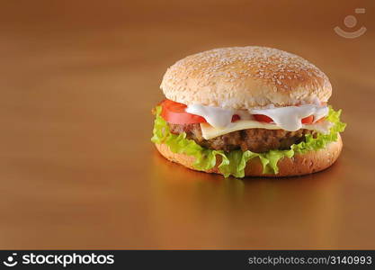 fresh and tasty hamburger with cheese