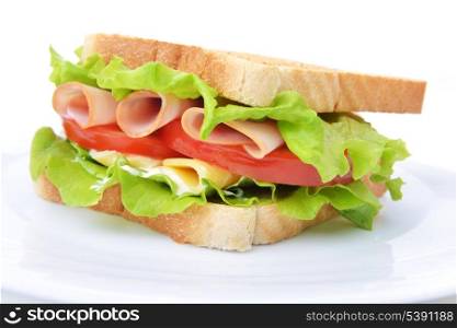 Fresh and tasty sandwich on white background