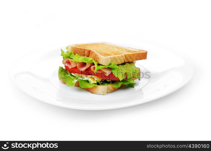 Fresh and tasty sandwich on white dish