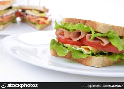 Fresh and tasty sandwich on white dish