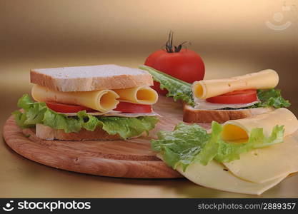 fresh and tasty sandwich ready to eat