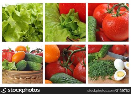 fresh and tasty vegetables colage