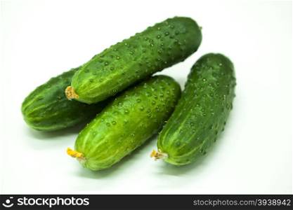 Fresh appetizing tasty cucumbers on a white background.. Fresh appetizing tasty cucumbers on a white background